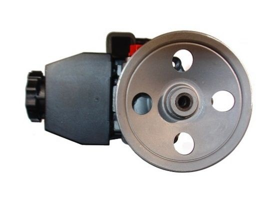 SPIDAN 53815 Power steering pump A0024667901