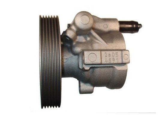 SPIDAN 54264 Power steering pump 49110-0246R