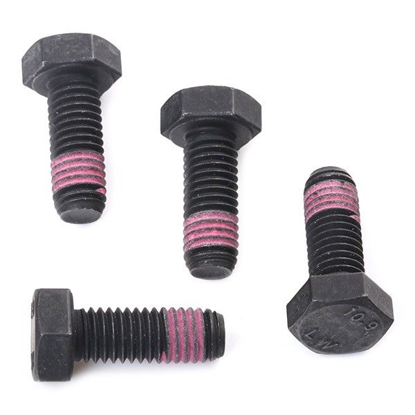 ROADHOUSE D1314-8429 Disc pads Rear Axle, with bolts/screws, with adhesive film, with accessories