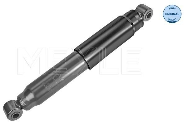 MEYLE Shock absorber rear and front FIAT Ducato III Platform / Chassis (250, 290) new 226 725 0013