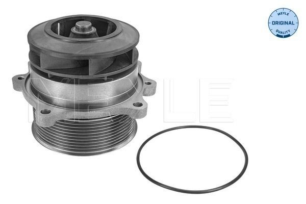 MWP0573 MEYLE with belt pulley, with seal, Belt Pulley Ø: 116 mm, ORIGINAL Quality, for v-ribbed belt use Water pumps 233 045 1331 buy