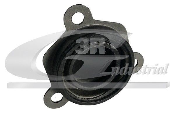 Fiat Guide Tube, clutch 3RG 24222 at a good price