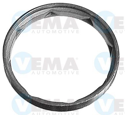 VEMA 2600 Seal, wheel hub 4243293