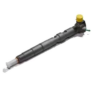 DELPHI Injectors diesel and petrol OPEL Zafira Life (K0) new 28489548
