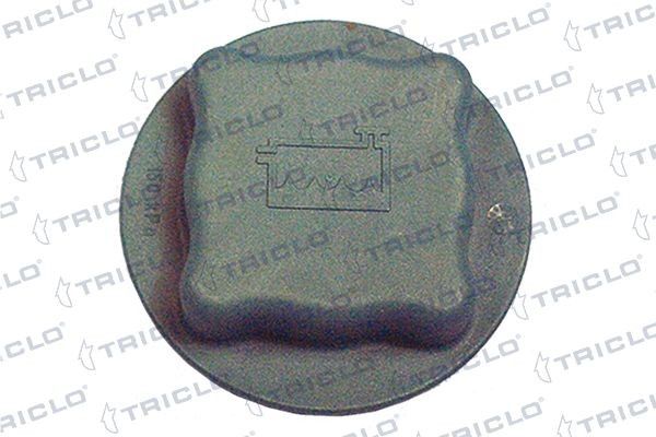 TRICLO 311358 Expansion tank cap AUDI experience and price