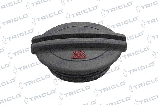 TRICLO 313326 Expansion tank cap AUDI experience and price