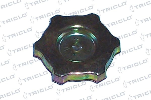 TRICLO 314145 Oil filler cap and seal Fiat Punto Mk2 1.9 DS 60 60 hp Diesel 2002 price