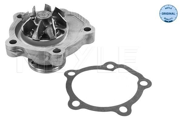 MEYLE 33-13 220 0004 Water pump FIAT experience and price