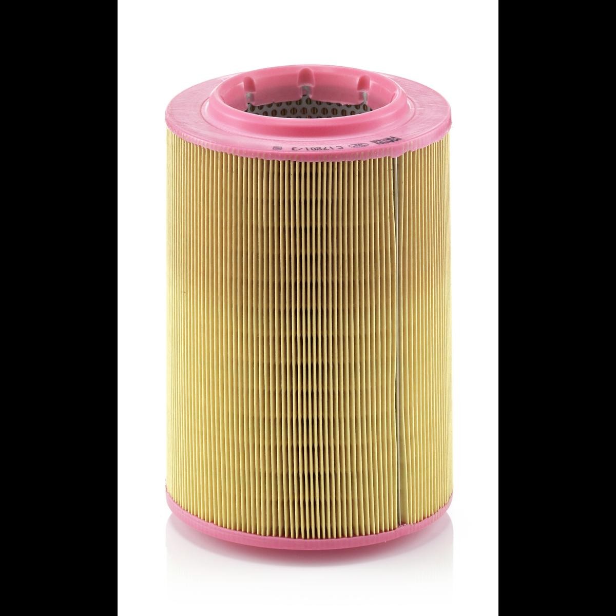 MANN-FILTER Air filters diesel and petrol T4 new C 17 201/3