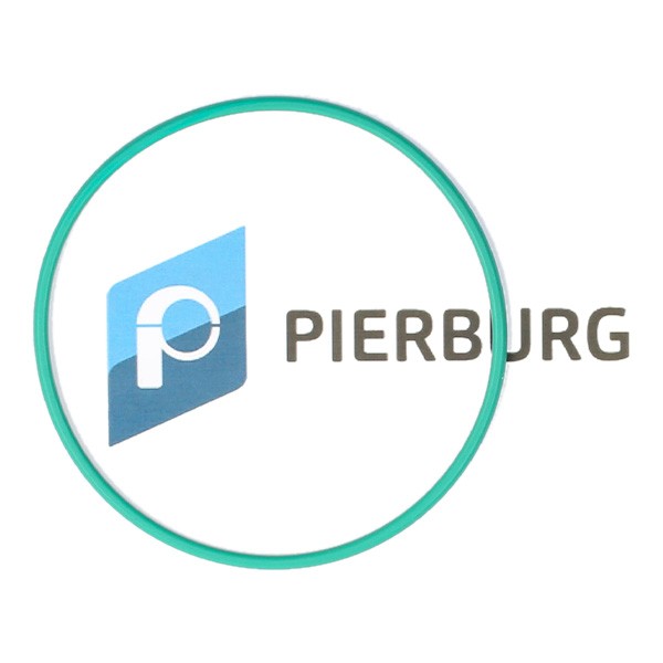 PIERBURG 3.32038.01.0 CITROЁN Seal, fuel sender unit