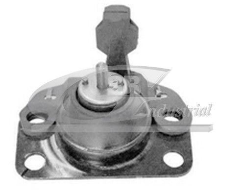 3RG 40644 Engine mount Right Front