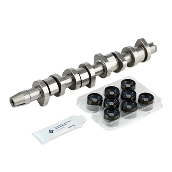Great value for money - INA Camshaft Kit 428 0042 30