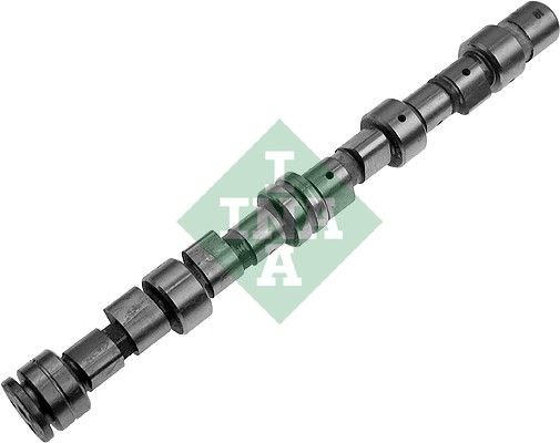 INA Camshaft kit OPEL Astra F Convertible (T92) new 428 0049 10