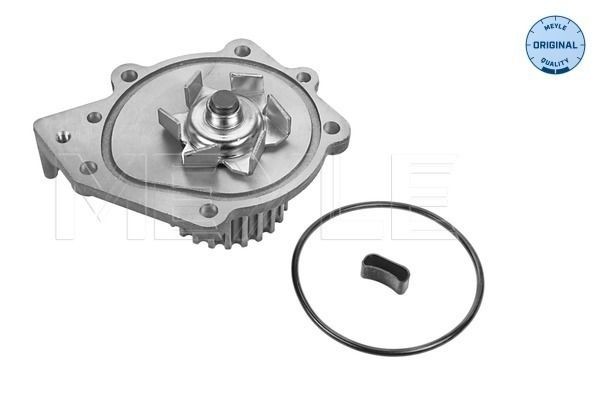 MEYLE 45-13 220 0002 Water pump LAND ROVER experience and price
