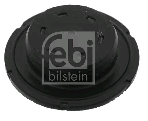 FEBI BILSTEIN 49353 Freeze plug AUDI A5 2013 price