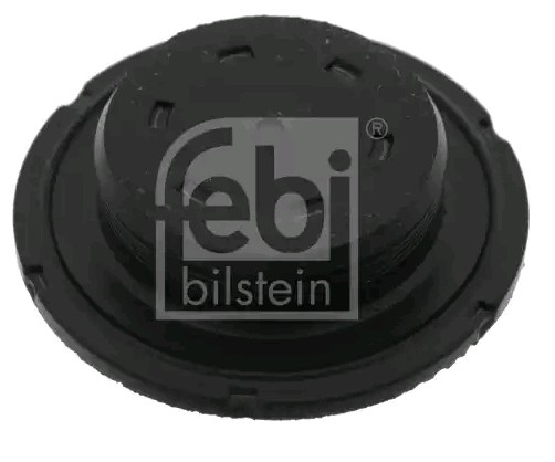 Audi A5 Frost Plug FEBI BILSTEIN 49357 cheap