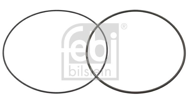 FEBI BILSTEIN O-Ring Set, cylinder sleeve 49829