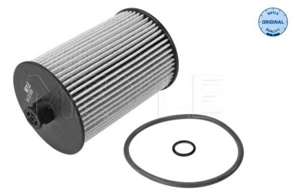 MFF0205 MEYLE Filter Insert, ORIGINAL Quality, with gaskets/seals Height: 110mm Inline fuel filter 514 323 0008 buy