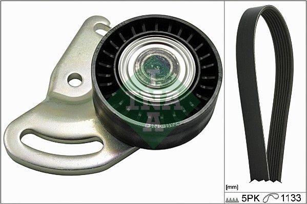 529 0178 10 INA Serpentine belt kit RENAULT Check alternator freewheel clutch & replace if necessary
