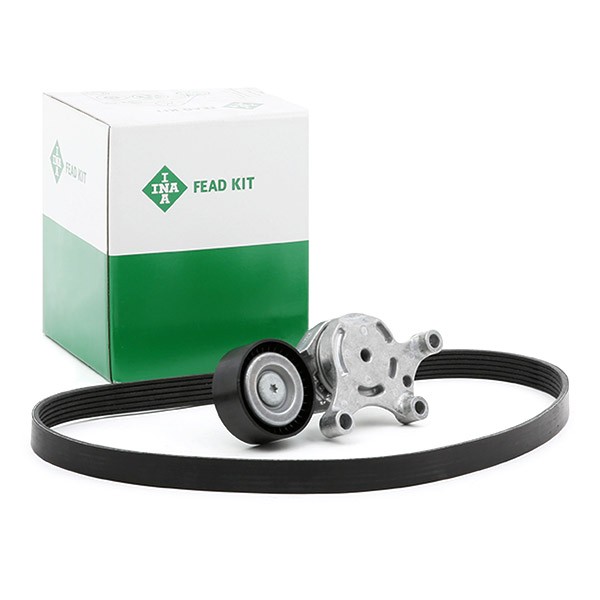INA 529 0261 10 V-Ribbed Belt Set Check alternator freewheel clutch & replace if necessary