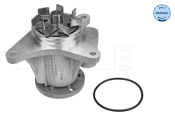 53-13 220 0007 MEYLE Water pumps LAND ROVER with seal, ORIGINAL Quality