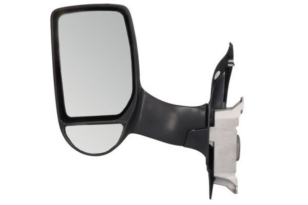 BLIC Left, Manual, Complete Mirror, Convex Side mirror 5402-04-9299919 buy