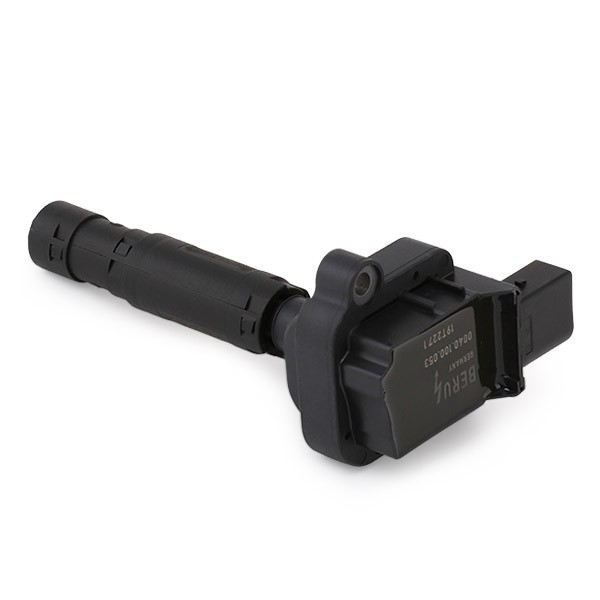 BERU 0040 100 039 Ignition coil pack 3-pin connector, 12V, Spark Spring, Number of connectors: 1, Connector Type SAE, incl. spark plug connector