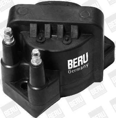 BERU E2019100355A1 Ignition coil pack 2-pin connector, 12V, DIN, without electronics, Number of connectors: 2, Connector Type SAE