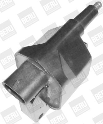 BERU E2019100394A1 Ignition coil pack 2-pin connector, 12V, Number of connectors: 1, Connector Type SAE, for vehicles with distributor