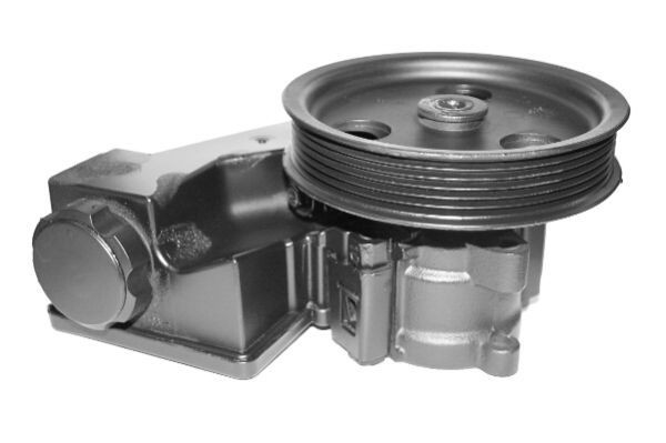 LAUBER Hydraulic, 90 bar, Number of ribs: 6, Belt Pulley Ø: 141 mm Pressure [bar]: 90bar Steering Pump 55.1122 buy