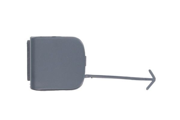 Cover, tow hook BLIC Front - 5513-00-9534921P