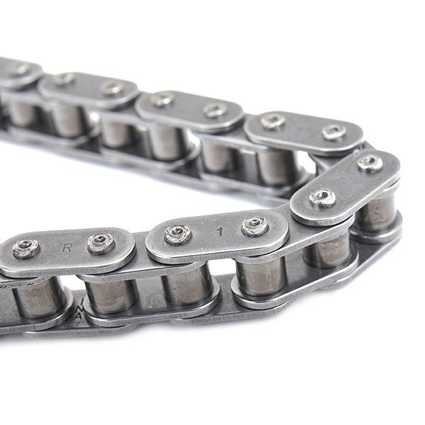 INA 553025510 Timing Chain