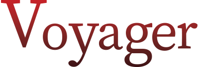 Tyres - Voyager brand