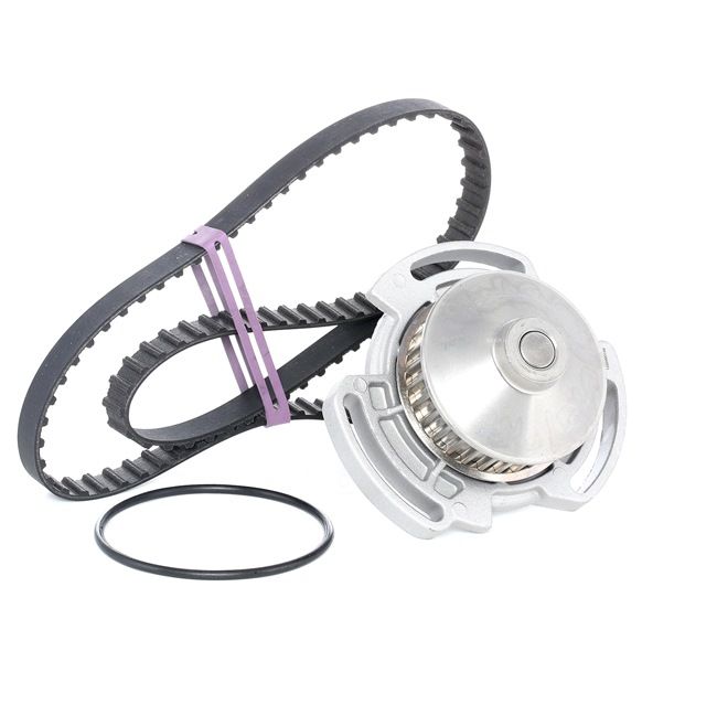 buy RIDEX Water Pump & Timing Belt Set 3096W0162 at any time