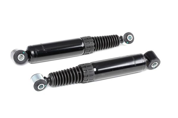 Kupte a vyměňte Tlumič pérování RIDEX 854S1744