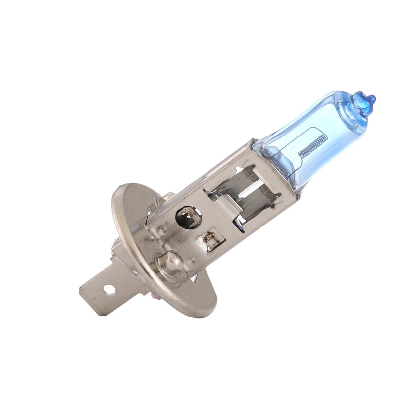106B0074 RIDEX Glühlampe, Fernscheinwerfer für RENAULT TRUCKS online bestellen