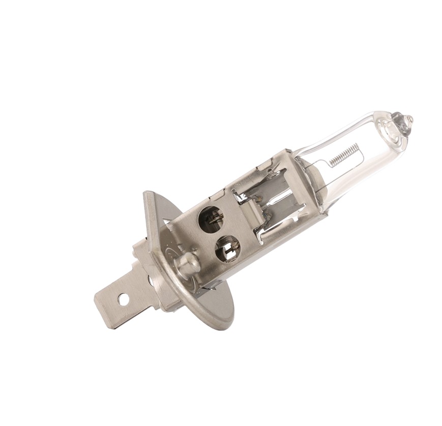 106B0029 RIDEX Glühlampe, Fernscheinwerfer für RENAULT TRUCKS online bestellen