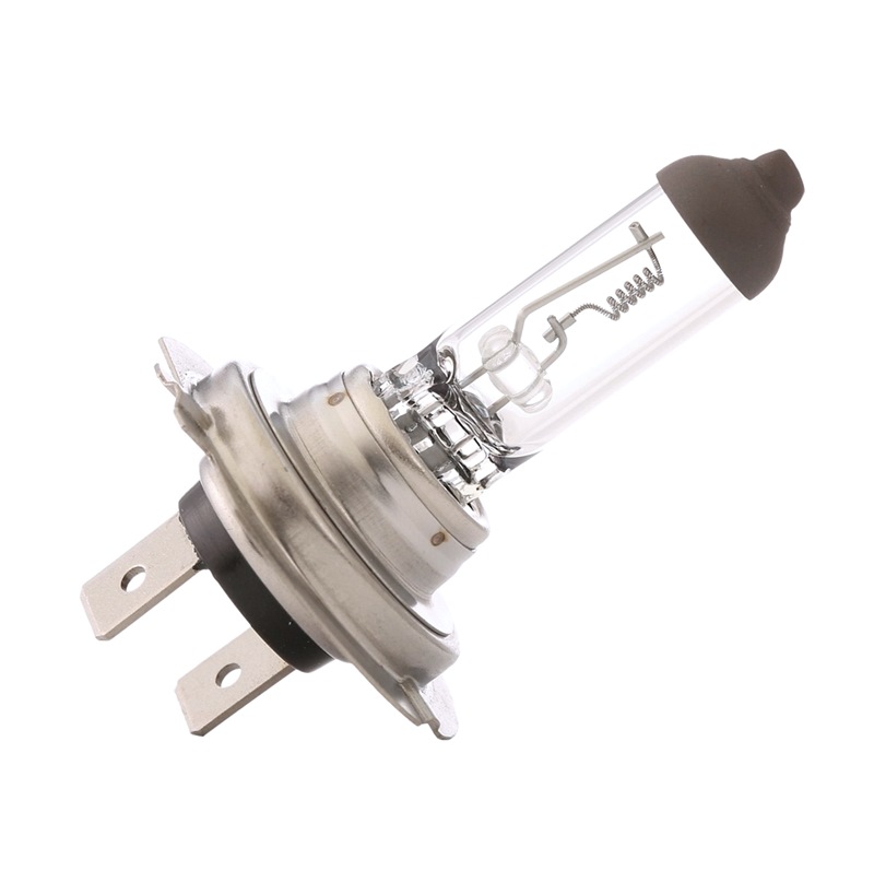 106B0013 RIDEX Glühlampe, Fernscheinwerfer für RENAULT TRUCKS online bestellen