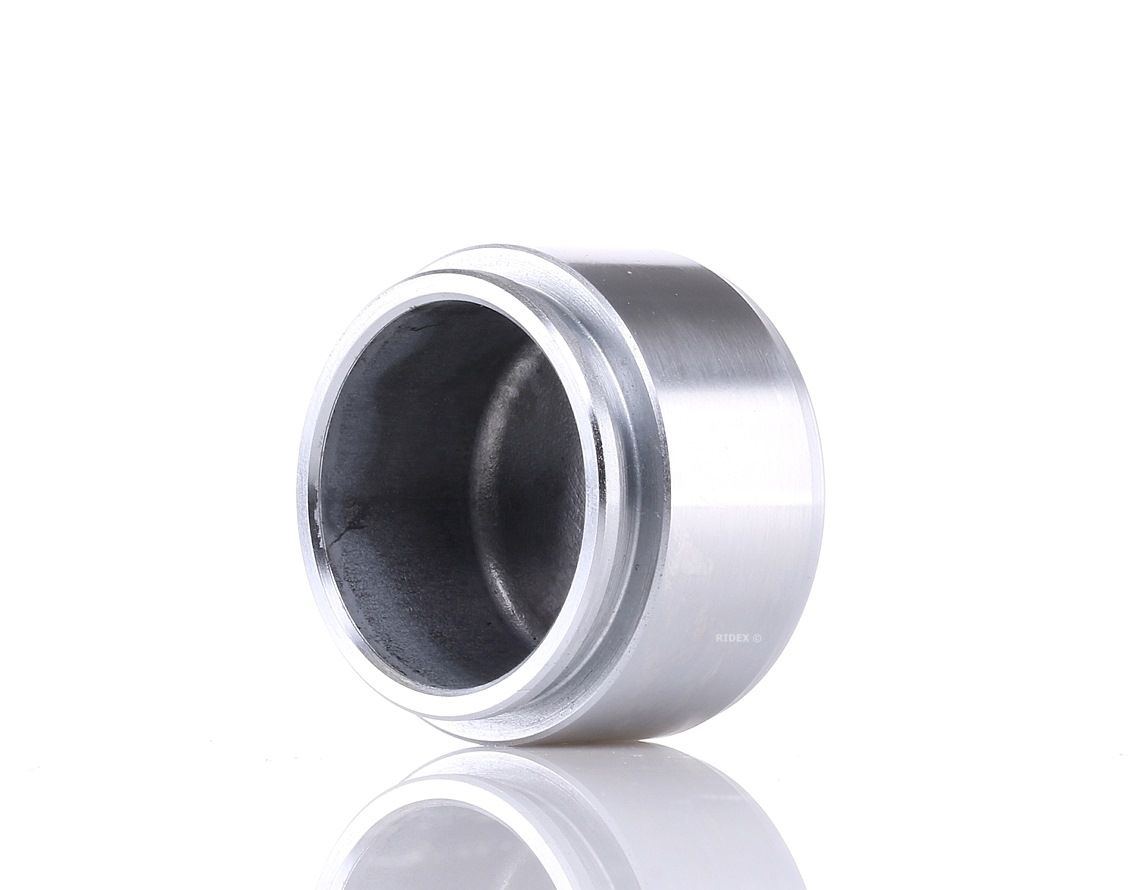 RIDEX Piston, étrier de frein BMW,NISSAN,RENAULT 2248P0021