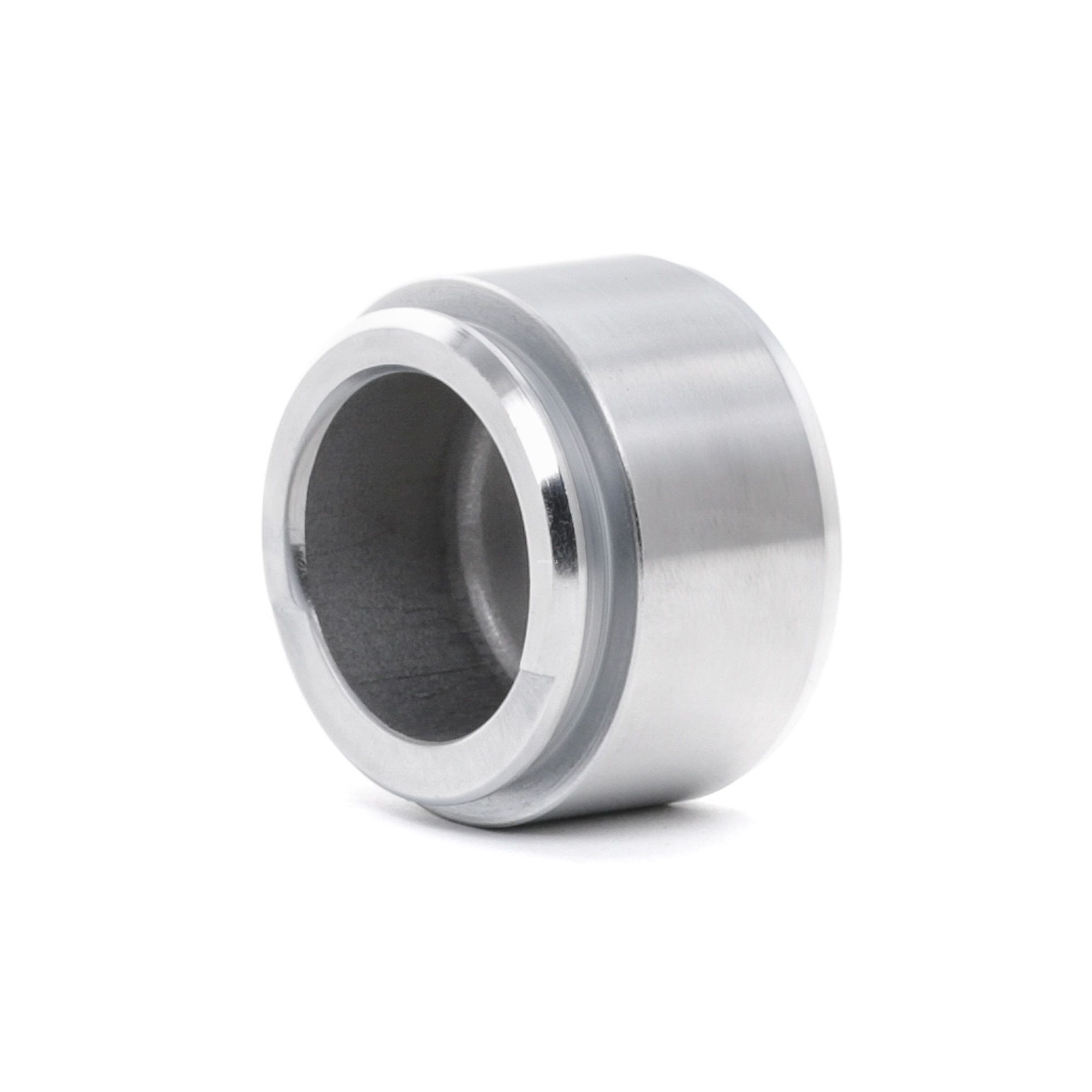 RIDEX Piston, étrier de frein SAAB,BMW,AUDI 2248P0022