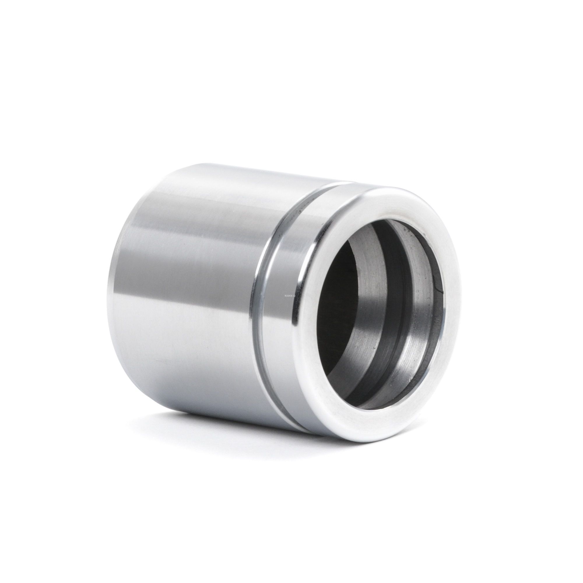 RIDEX Piston, étrier de frein BMW,RENAULT,VW 2248P0025
