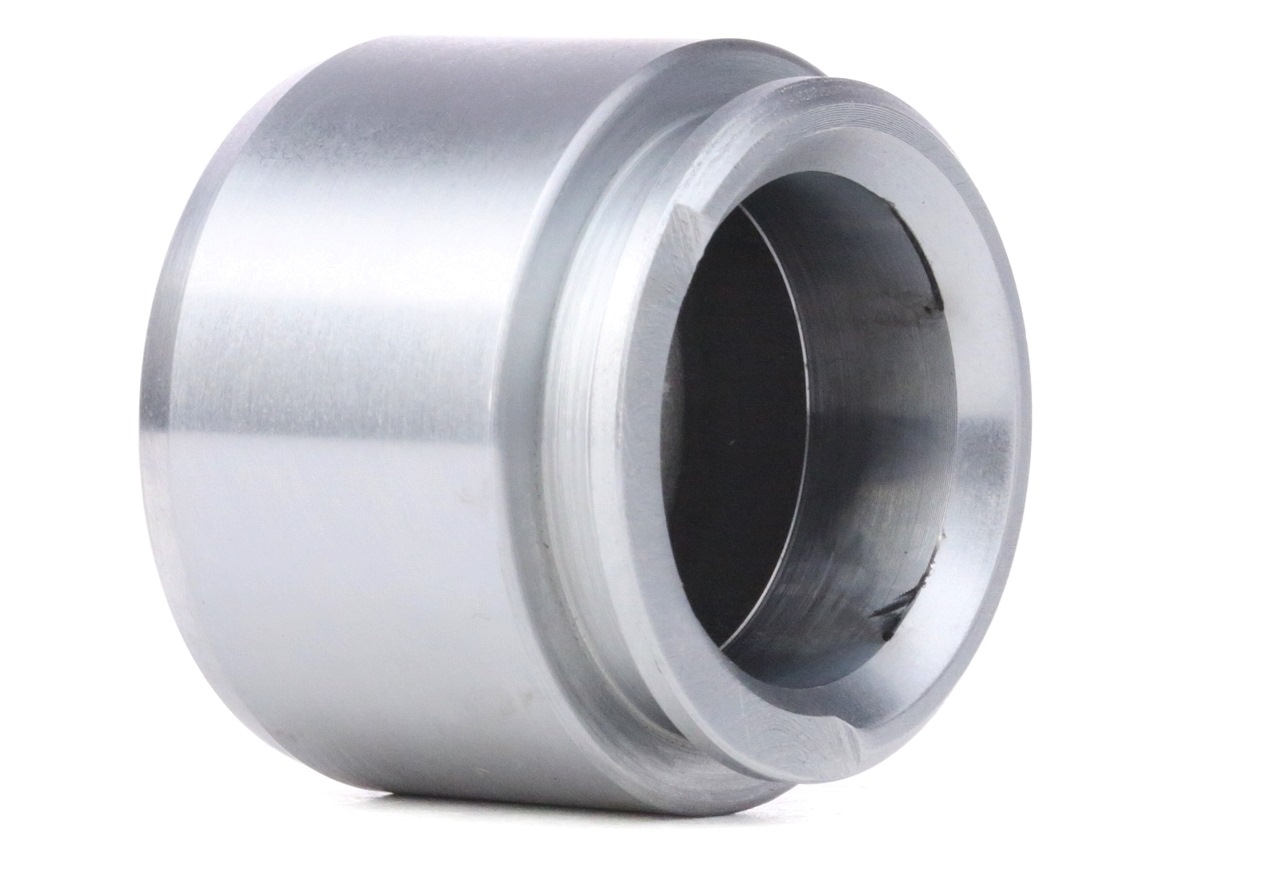 RIDEX Piston, étrier de frein MERCEDES-BENZ,VOLVO,AUDI 2248P0029