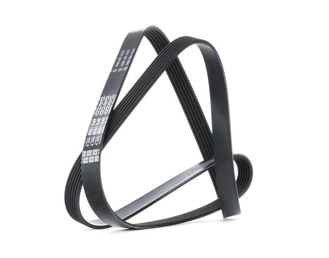 Estriadas dayco 6pk1558
