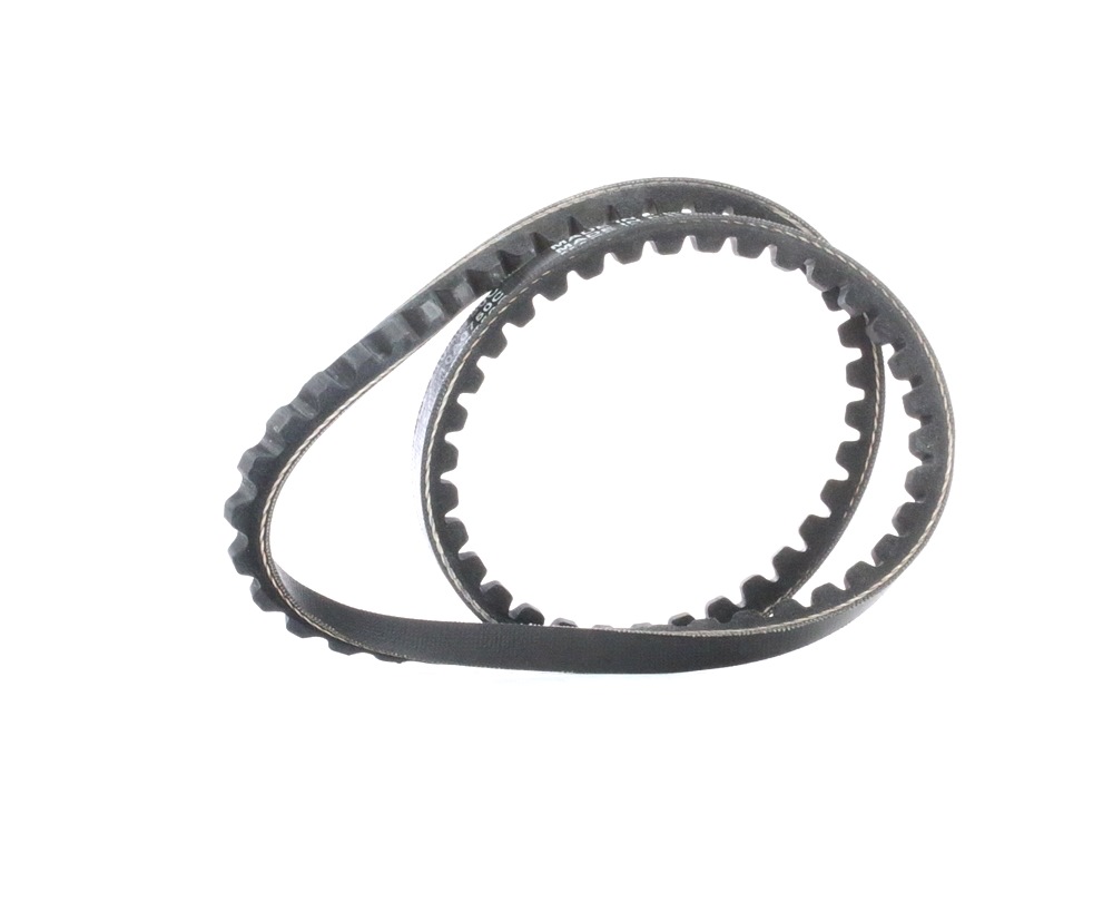 DAYCO Courroie Trapézoïdale VW,VOLVO,SUZUKI 10A0750C 195320510300,037145271F,50210724004 50310724004