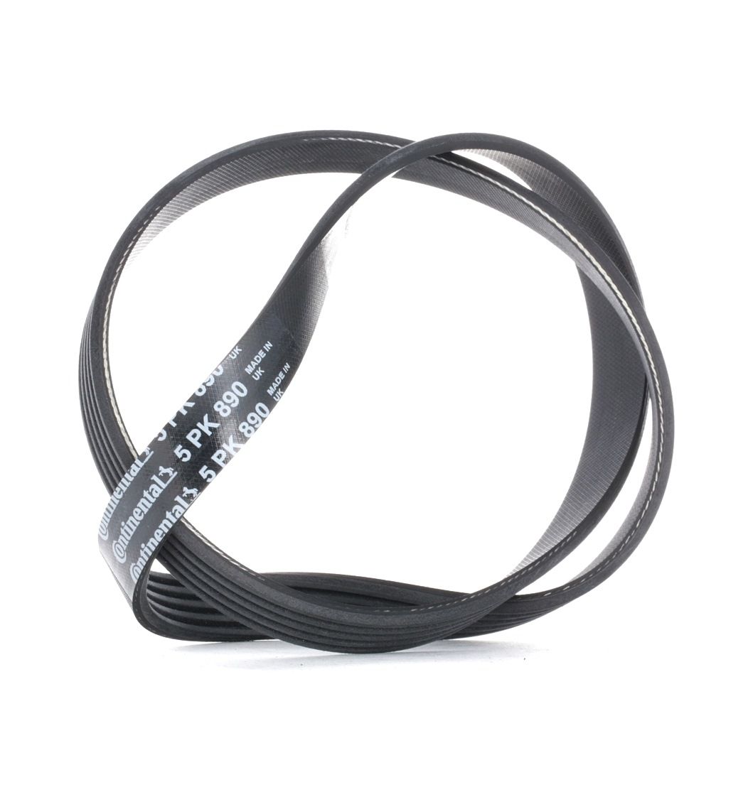 BOSCH Courroie Trapézoïdale FIAT,LANCIA,RENAULT 1 987 947 777 1192802103,GCB10914,GFB101 8835406,574