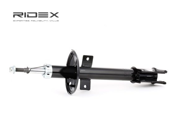 amortizor RIDEX 854S1201 cumpărați și înlocuiți