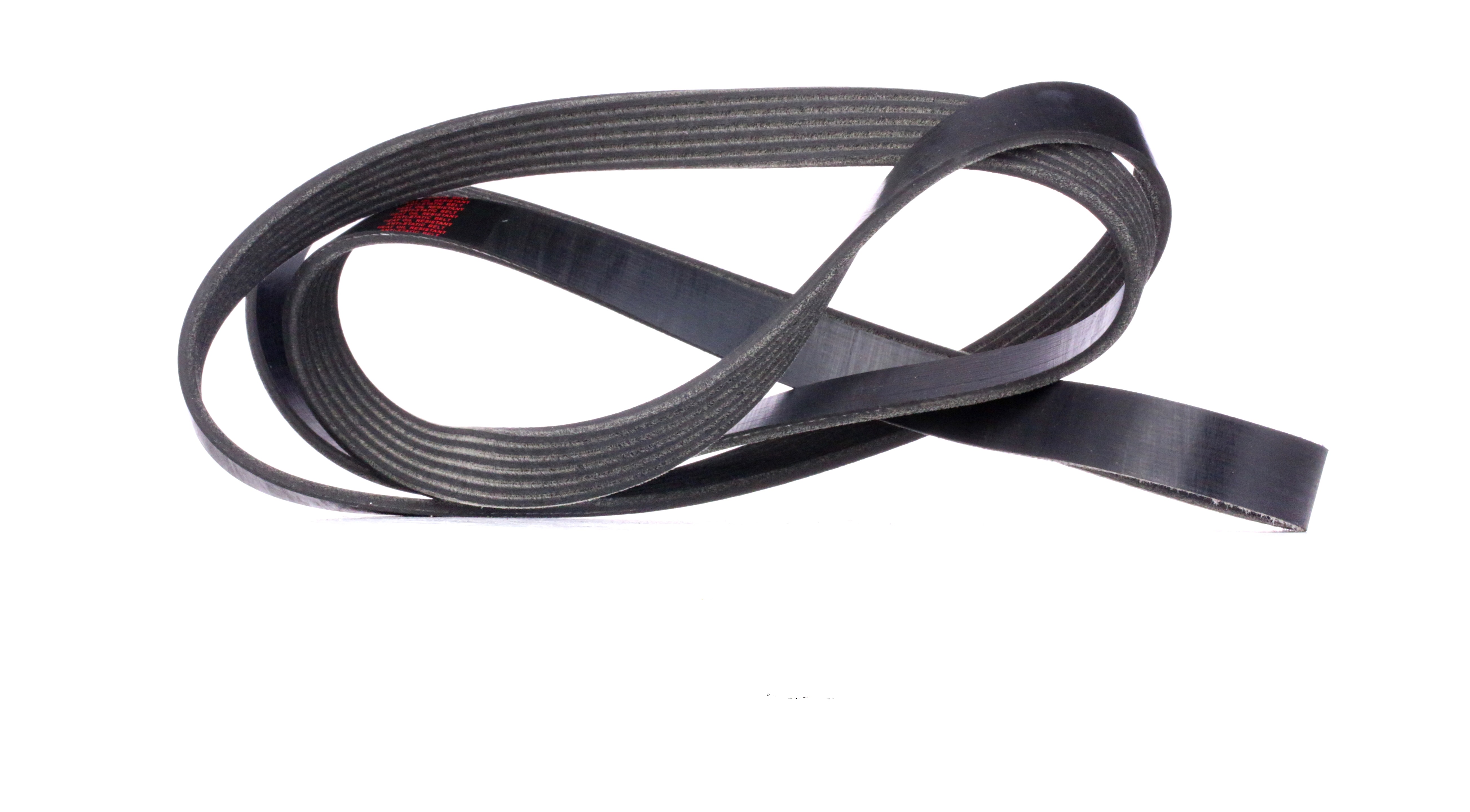 Buy RIDEX V-Ribbed Belts 305P0095 truck