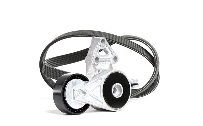 INA 529 0022 10 Cinghia di Distribuzione