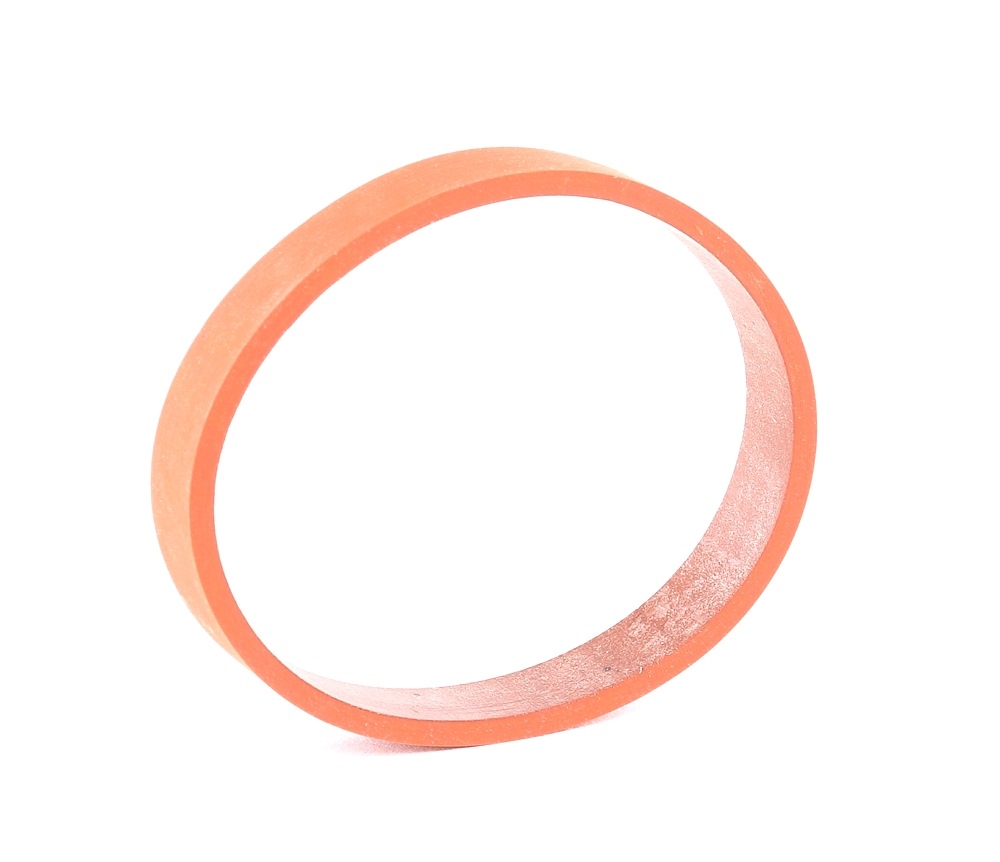 ELRING Joint Collecteur d'Admission BMW 424.870 11612245438,2245438