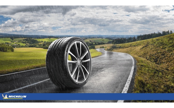 Michelin 398989